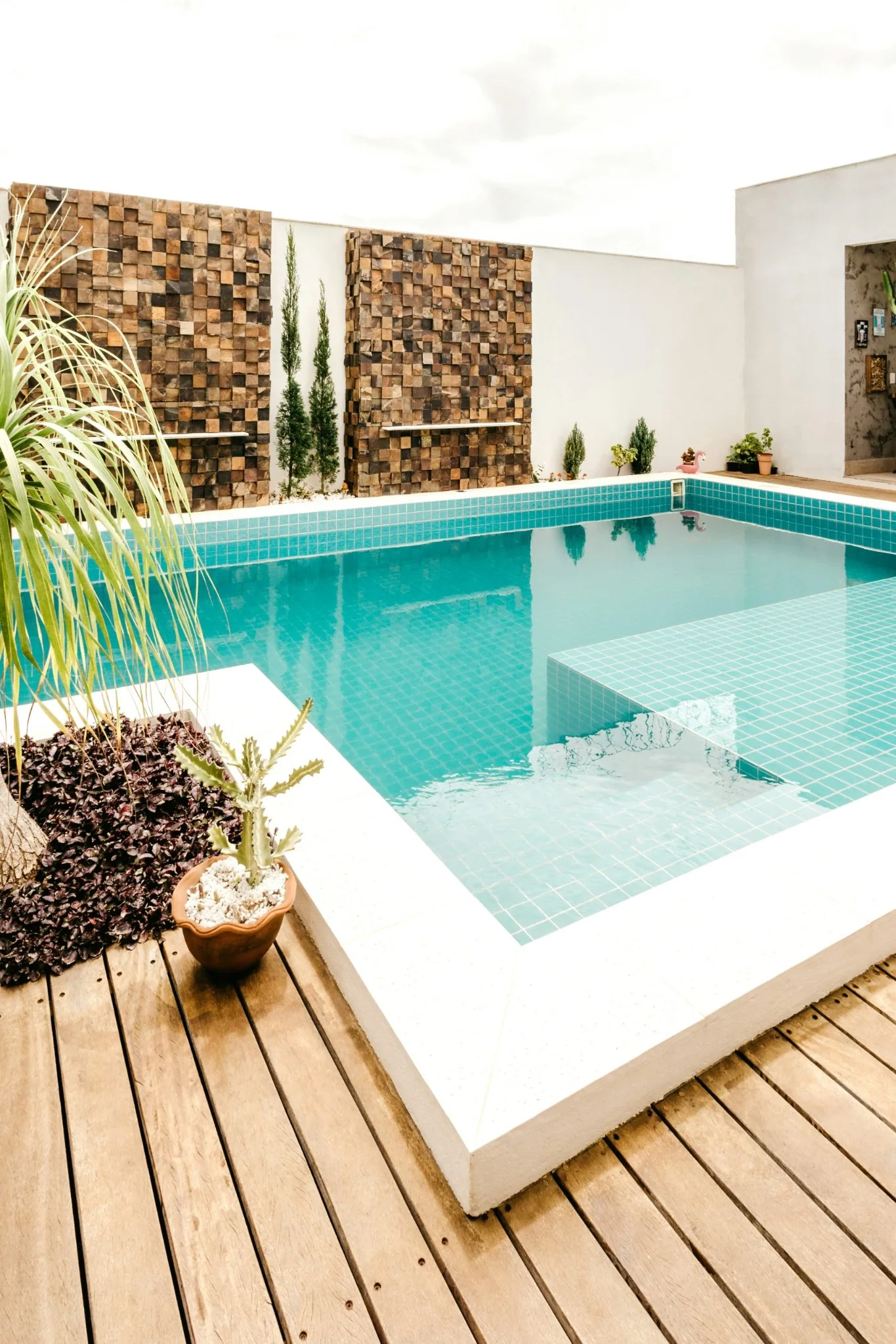 Premium backyard pool design